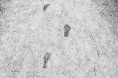 IMG_20210630_103505